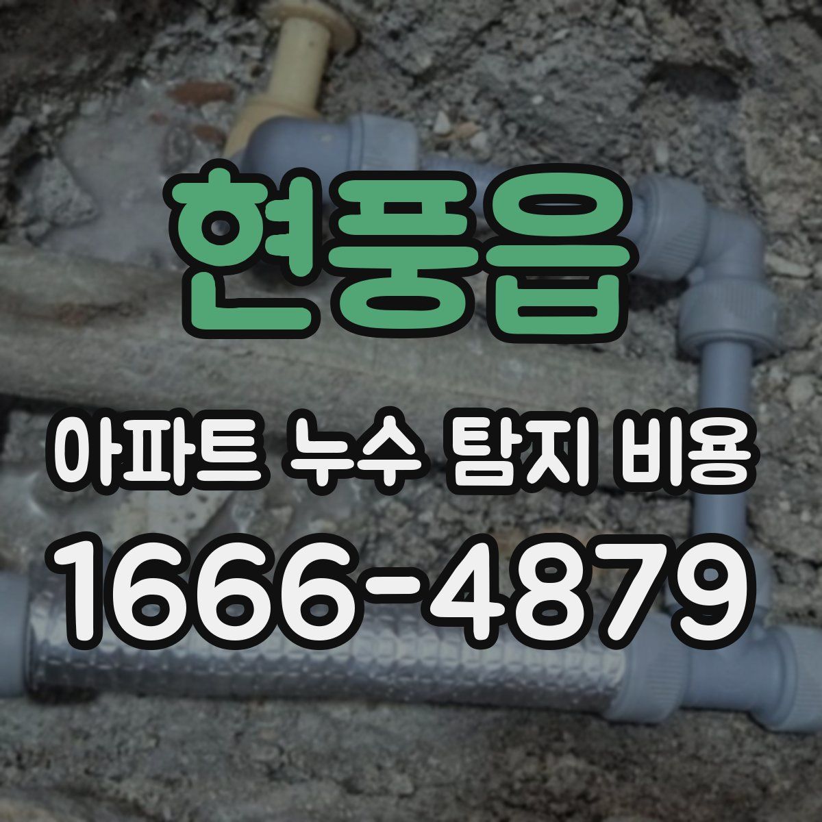 현풍읍 아파트 누수 탐지 비용