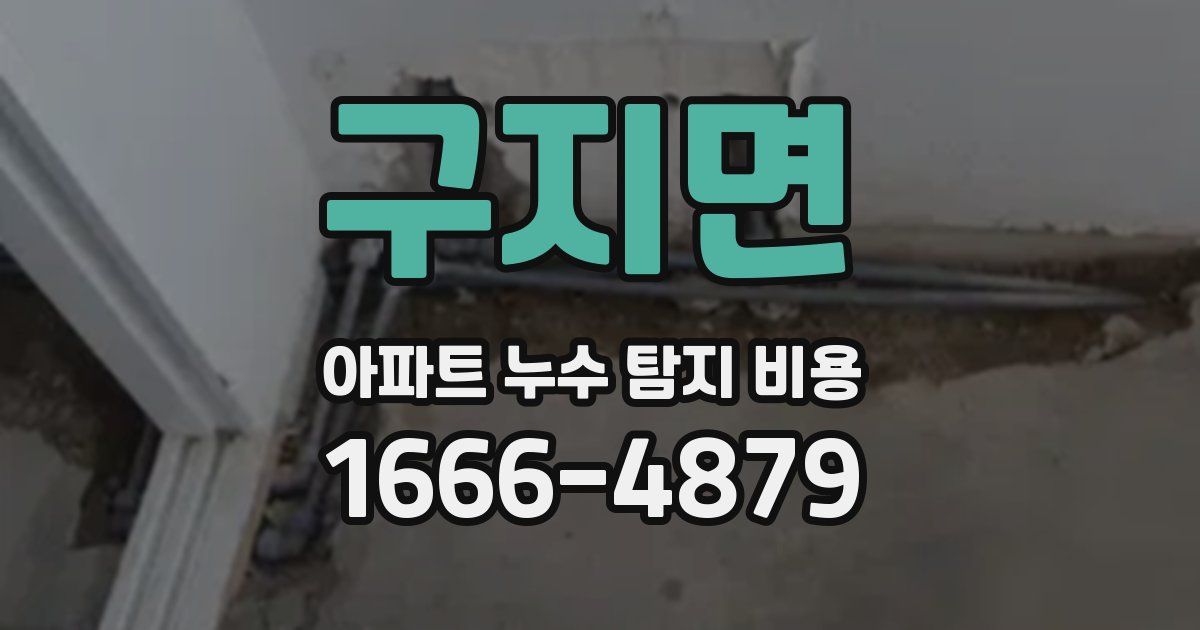 구지면 아파트 누수 탐지 비용