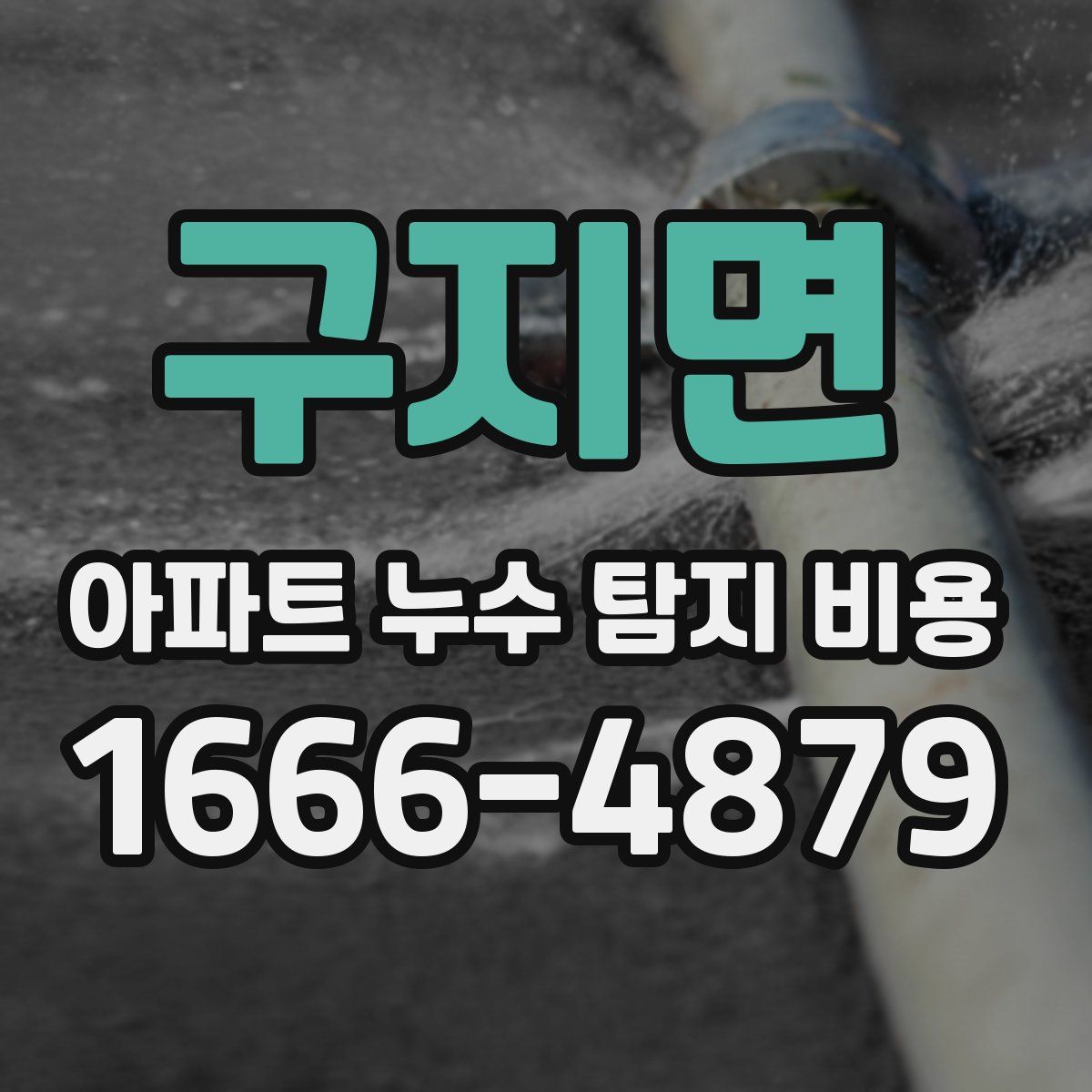 구지면 아파트 누수 탐지 비용