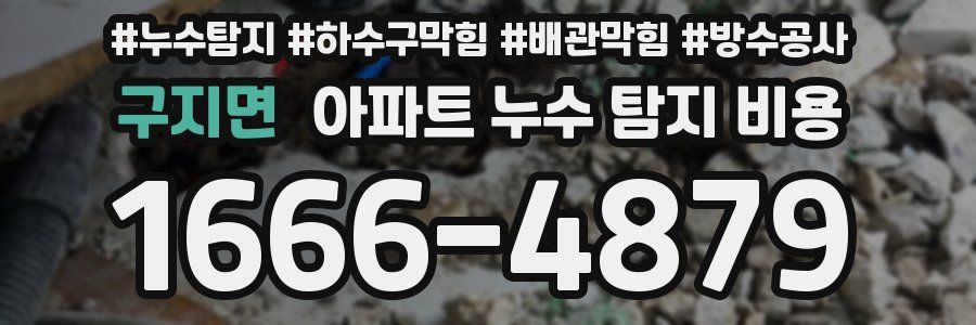 구지면 아파트 누수 탐지 비용