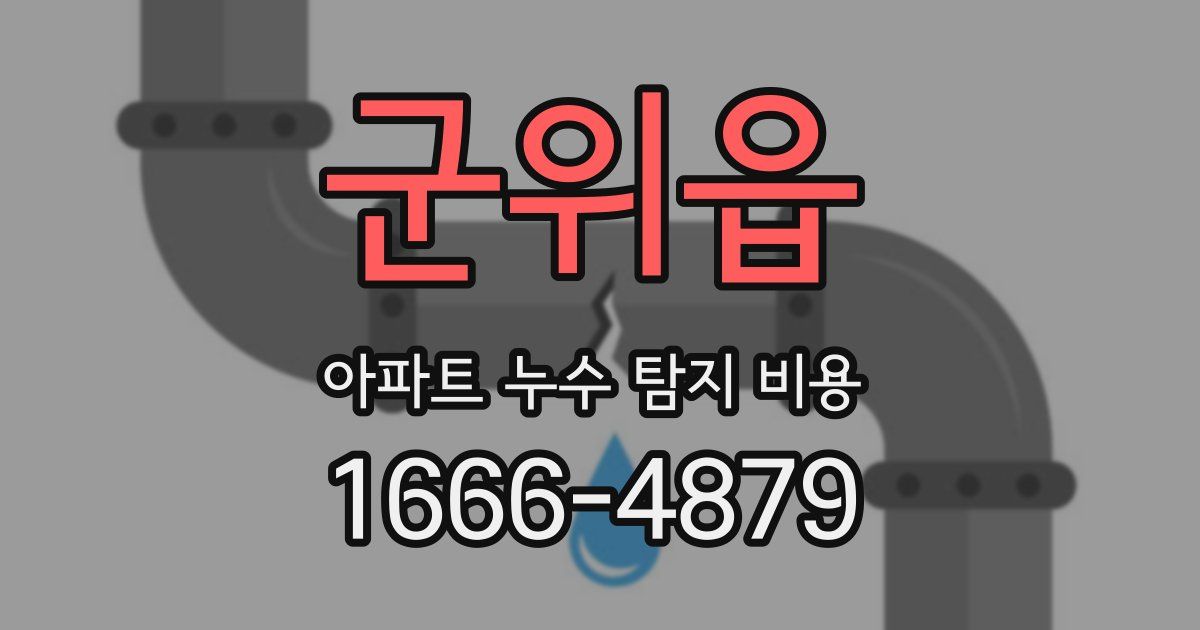 군위읍 아파트 누수 탐지 비용
