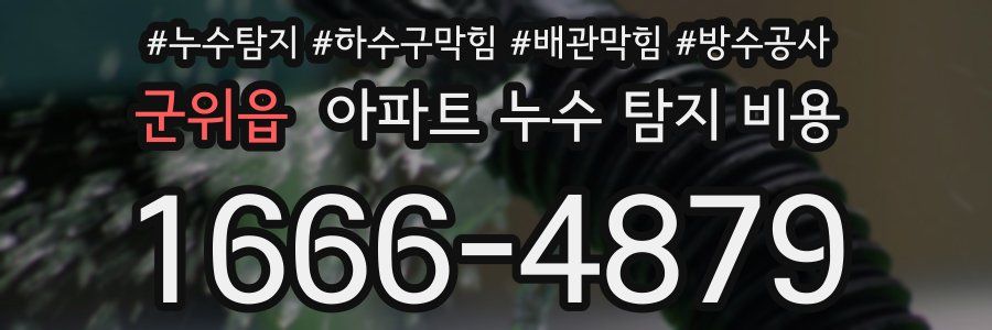 군위읍 아파트 누수 탐지 비용