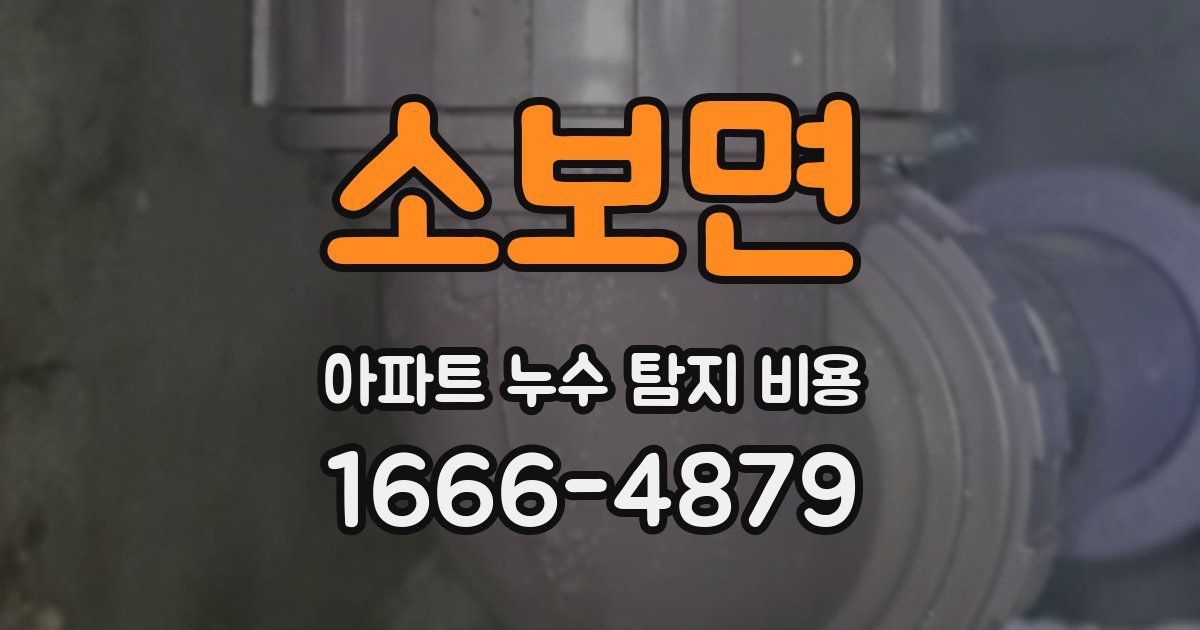 소보면 아파트 누수 탐지 비용