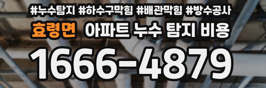 효령면 아파트 누수 탐지 비용