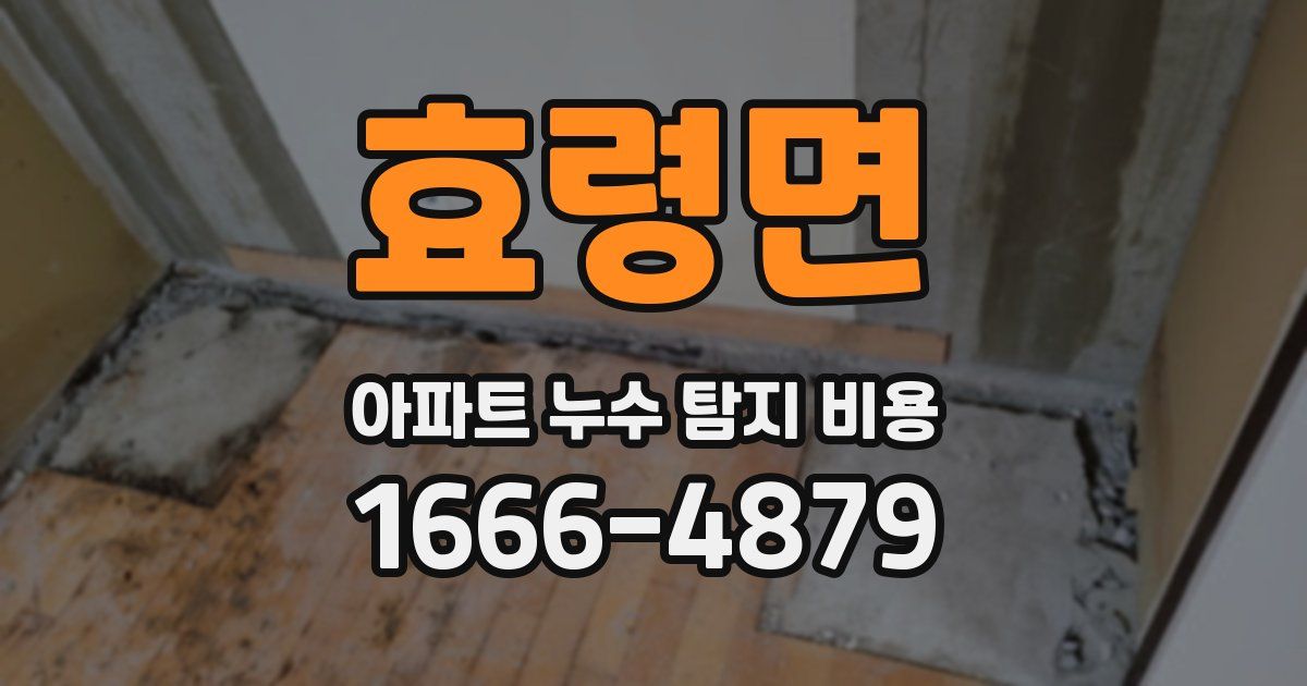효령면 아파트 누수 탐지 비용
