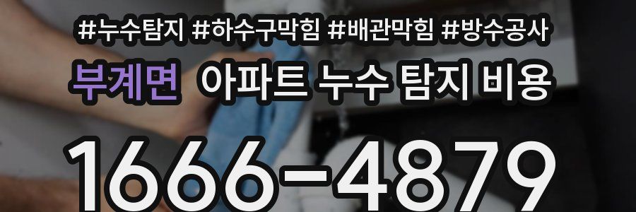 부계면 아파트 누수 탐지 비용
