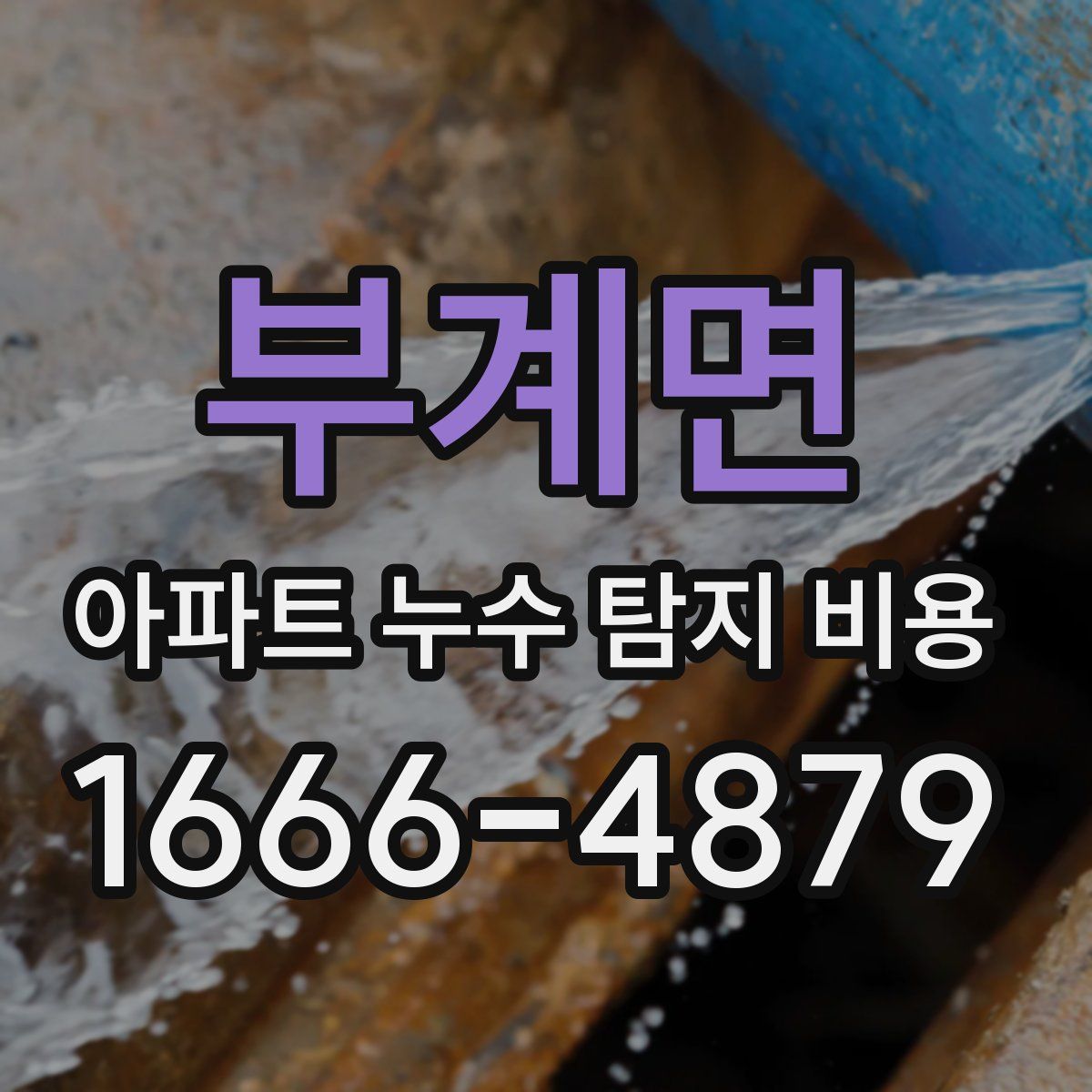 부계면 아파트 누수 탐지 비용
