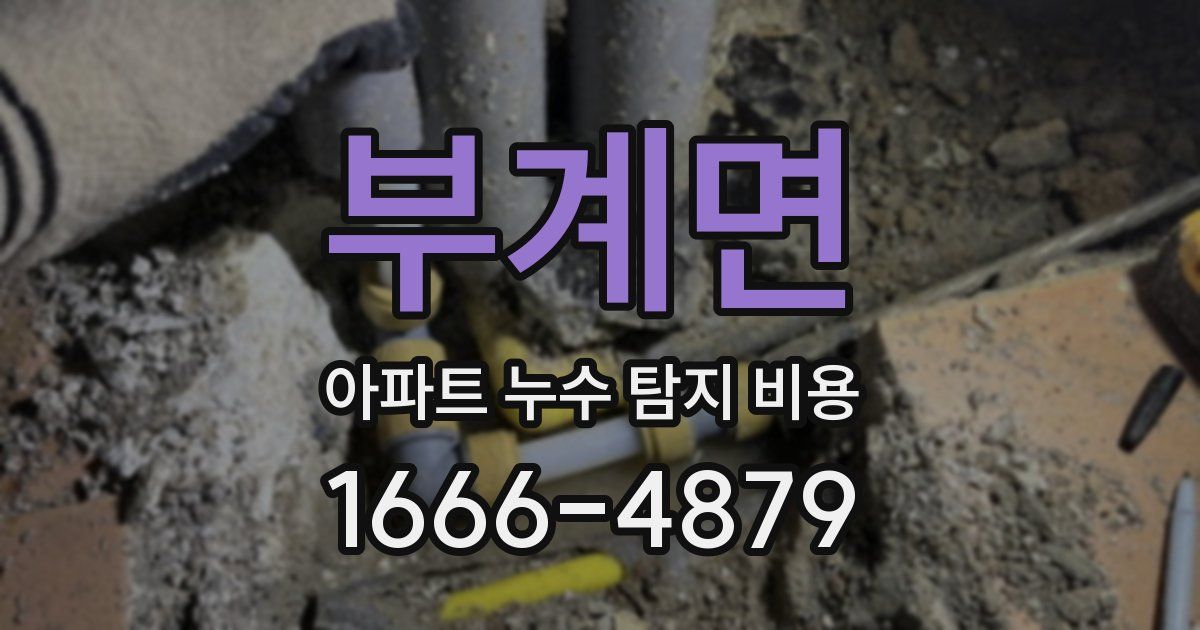 부계면 아파트 누수 탐지 비용