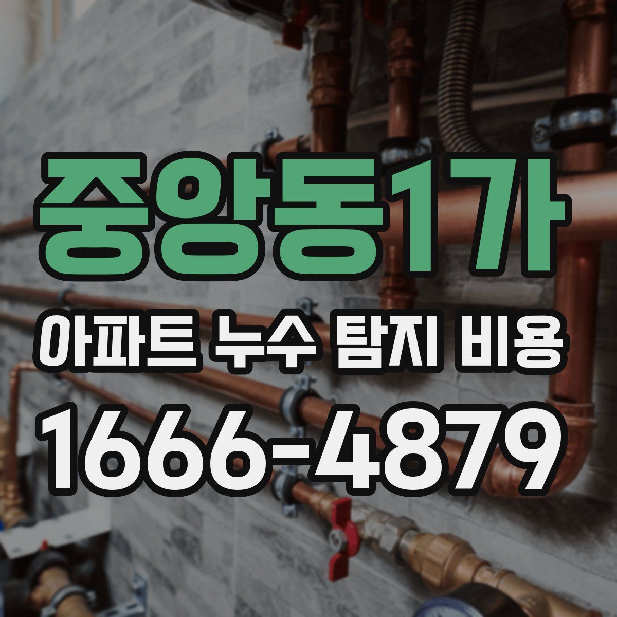 중앙동1가 아파트 누수 탐지 비용