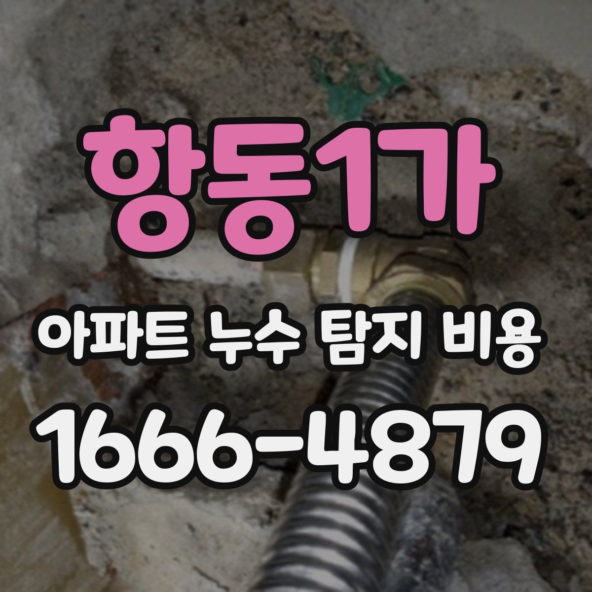항동1가 아파트 누수 탐지 비용