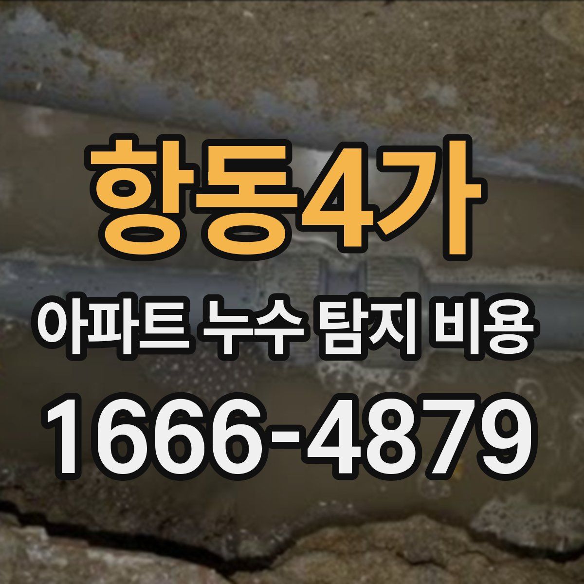 항동4가 아파트 누수 탐지 비용