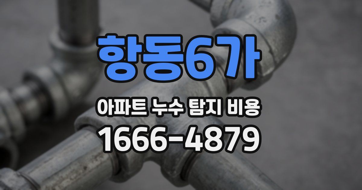 항동6가 아파트 누수 탐지 비용