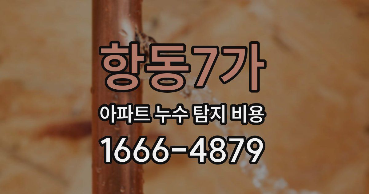 항동7가 아파트 누수 탐지 비용