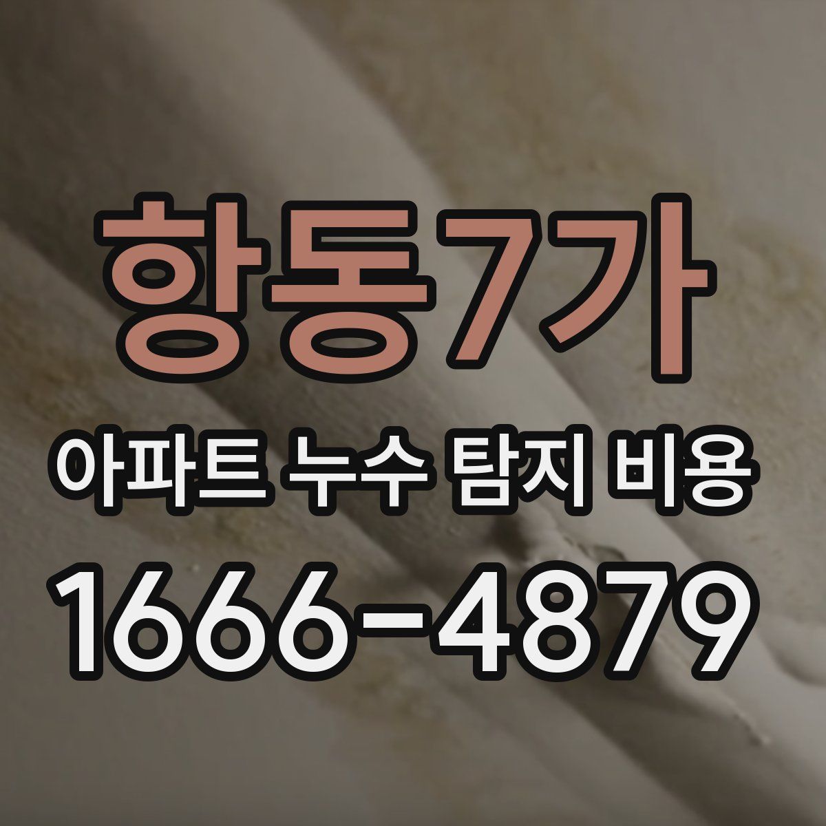 항동7가 아파트 누수 탐지 비용