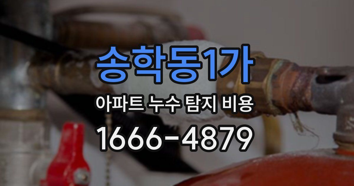 송학동1가 아파트 누수 탐지 비용