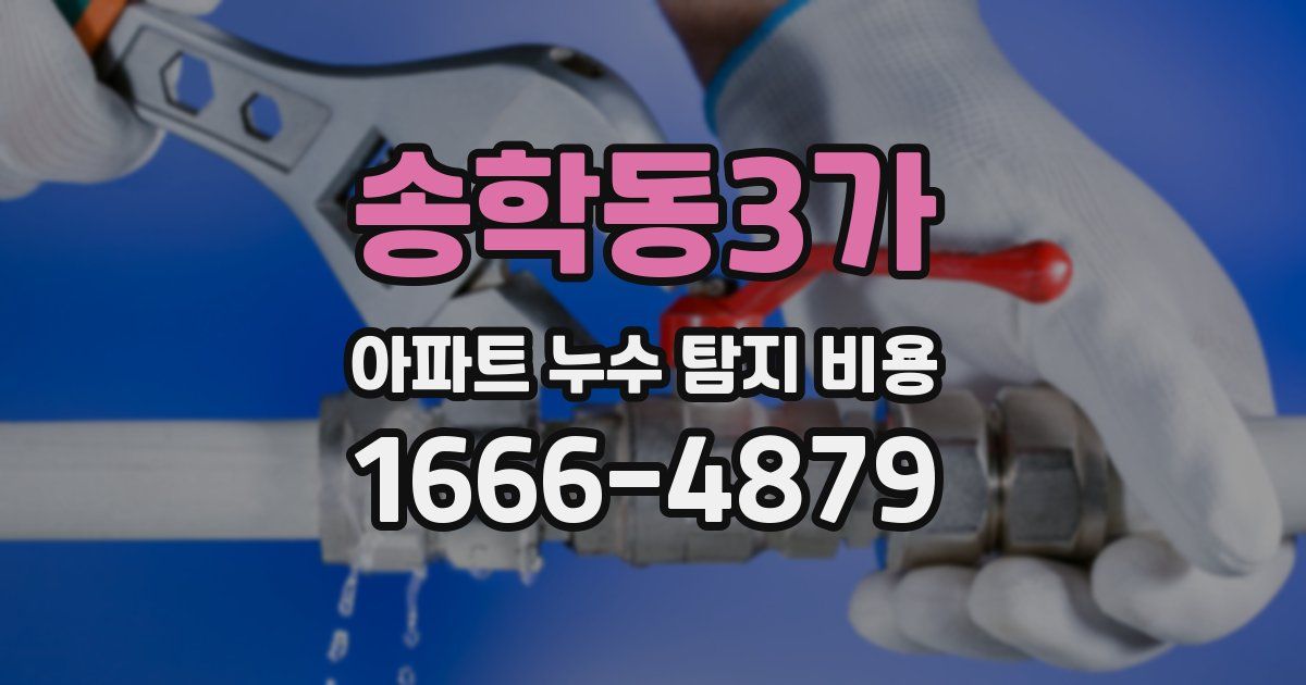 송학동3가 아파트 누수 탐지 비용