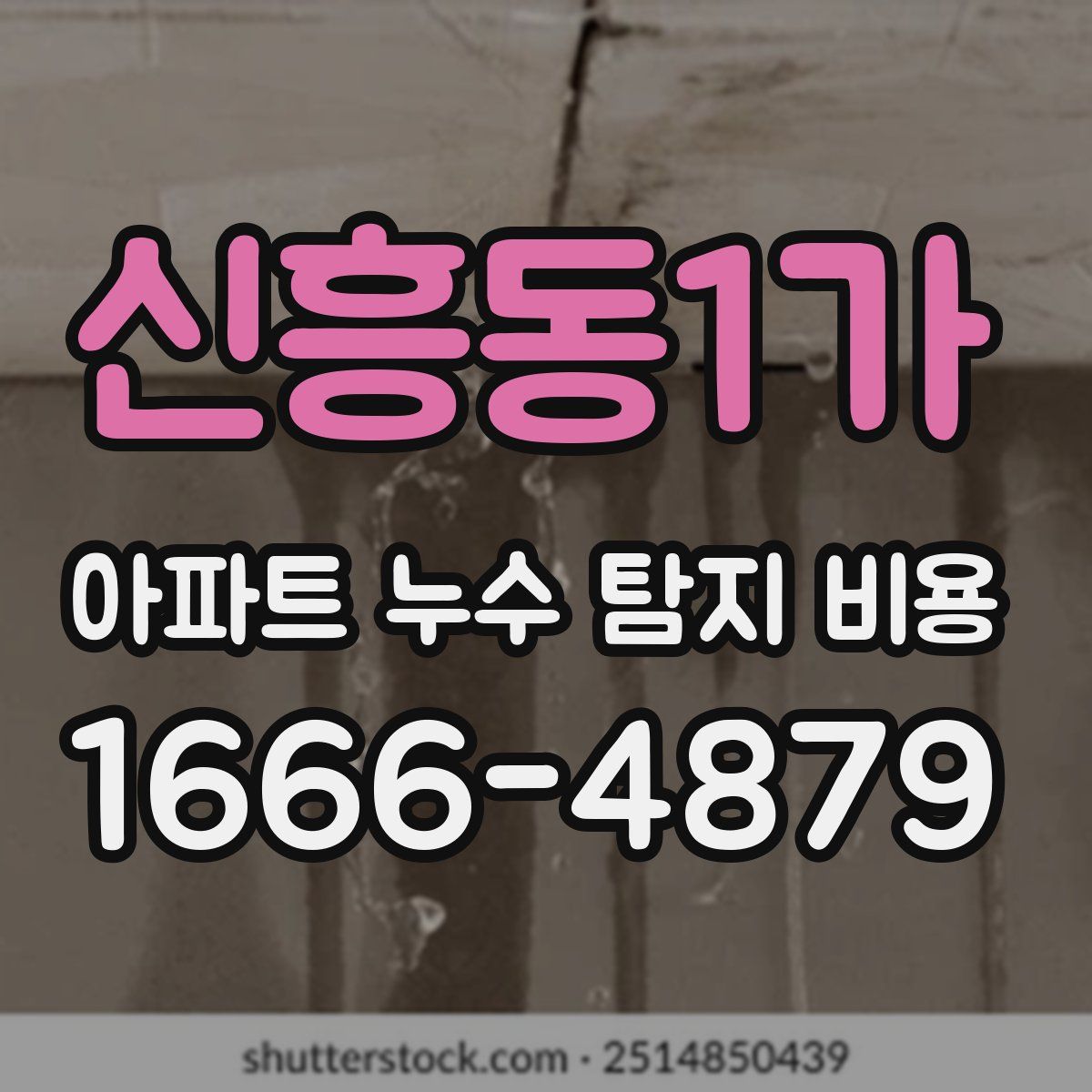 신흥동1가 아파트 누수 탐지 비용