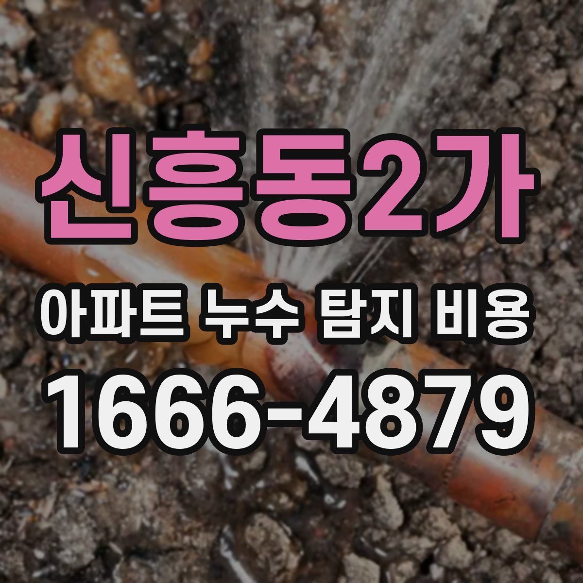 신흥동2가 아파트 누수 탐지 비용