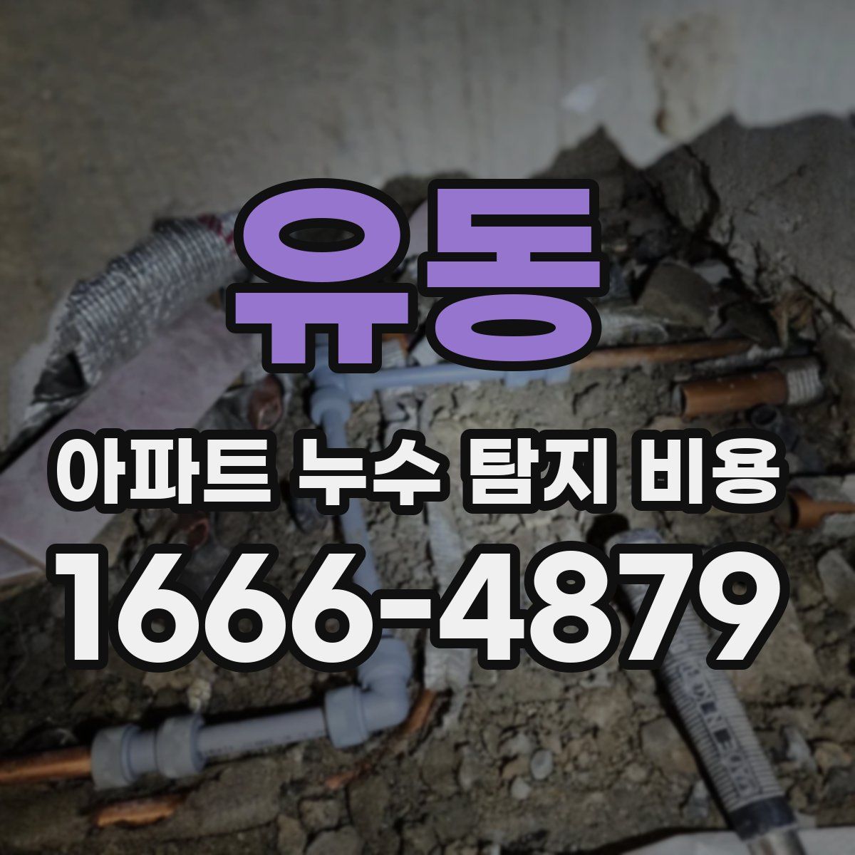 유동 아파트 누수 탐지 비용