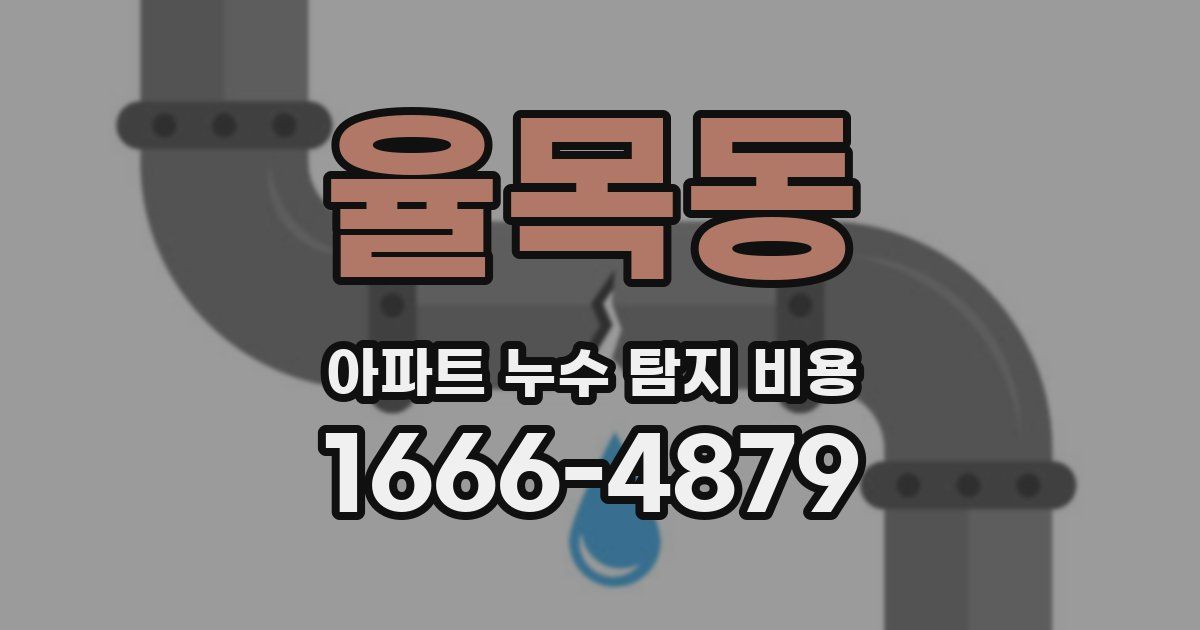 율목동 아파트 누수 탐지 비용