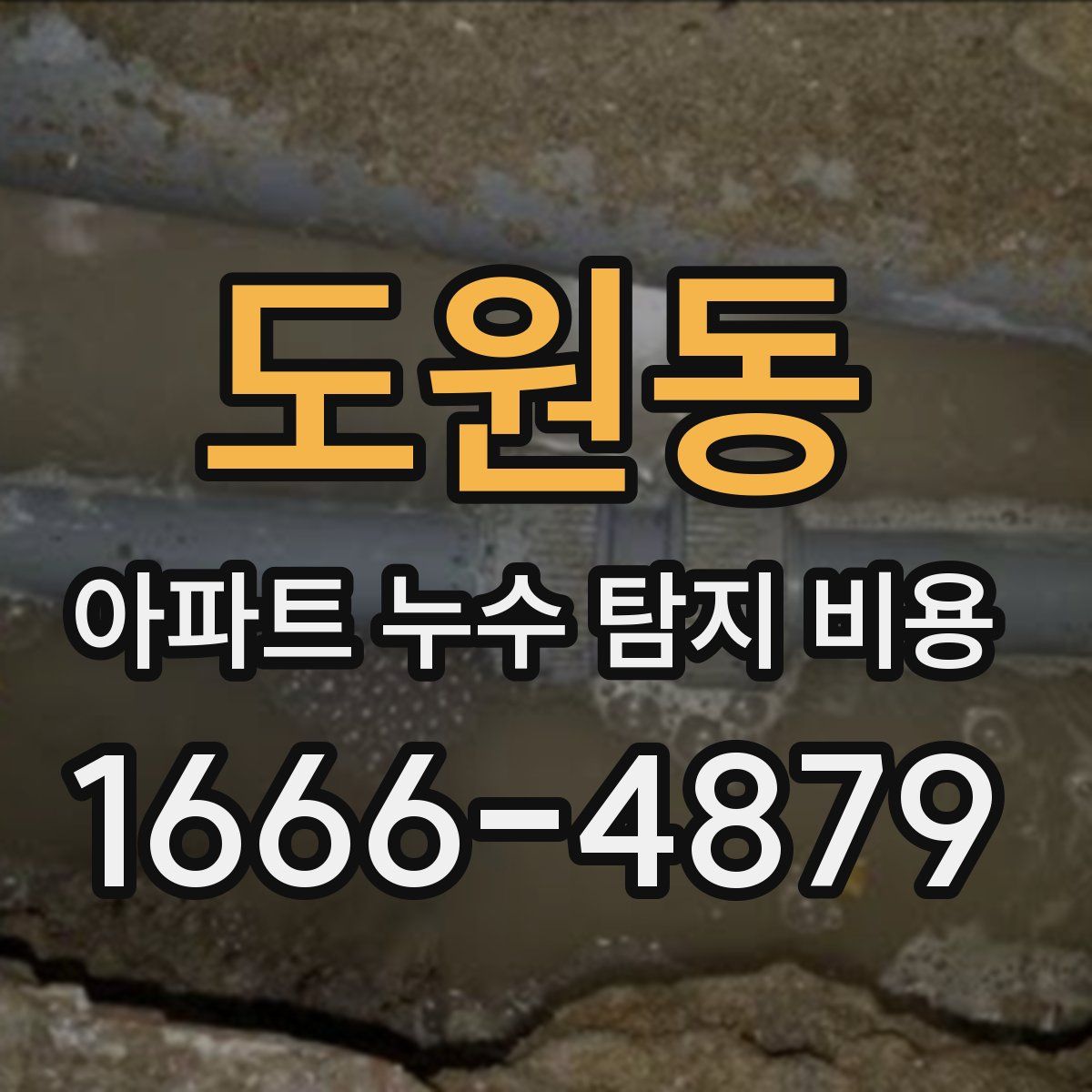 도원동 아파트 누수 탐지 비용