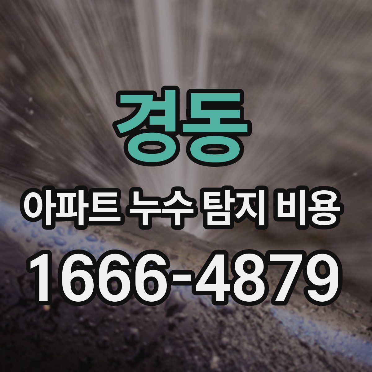 경동 아파트 누수 탐지 비용