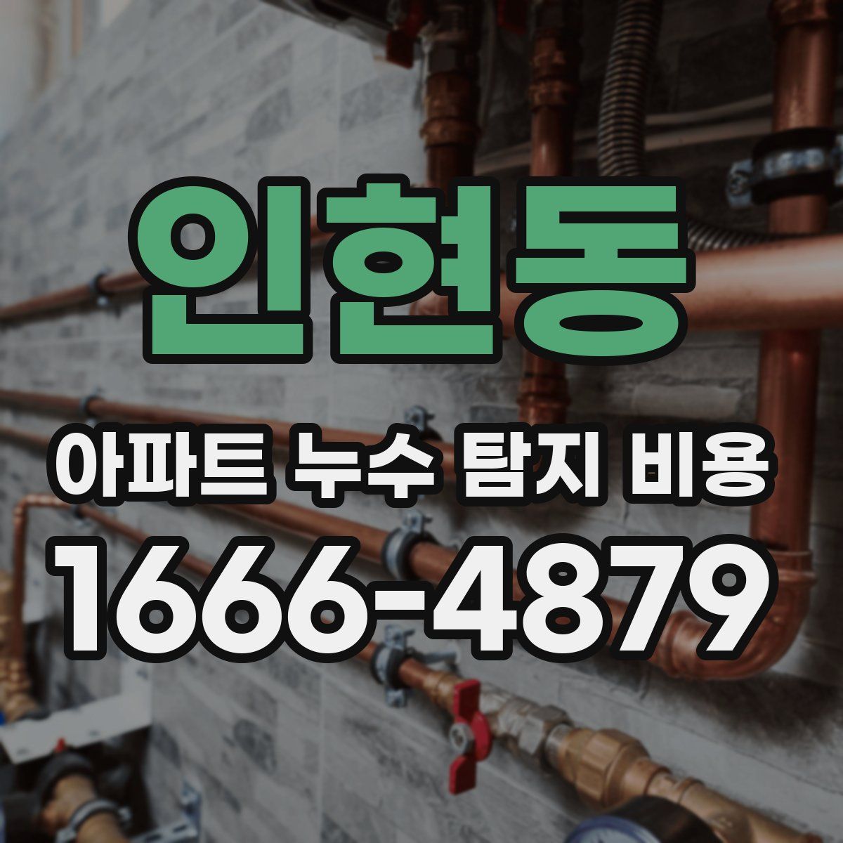 인현동 아파트 누수 탐지 비용