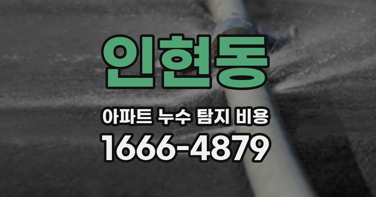인현동 아파트 누수 탐지 비용