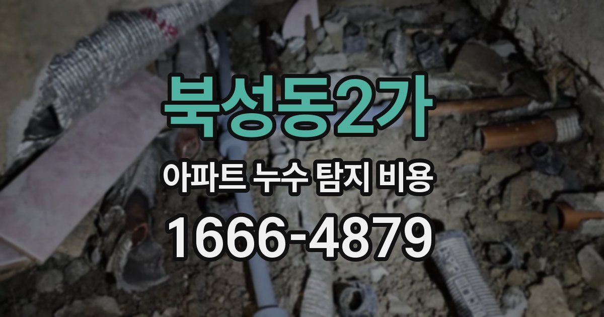 북성동2가 아파트 누수 탐지 비용