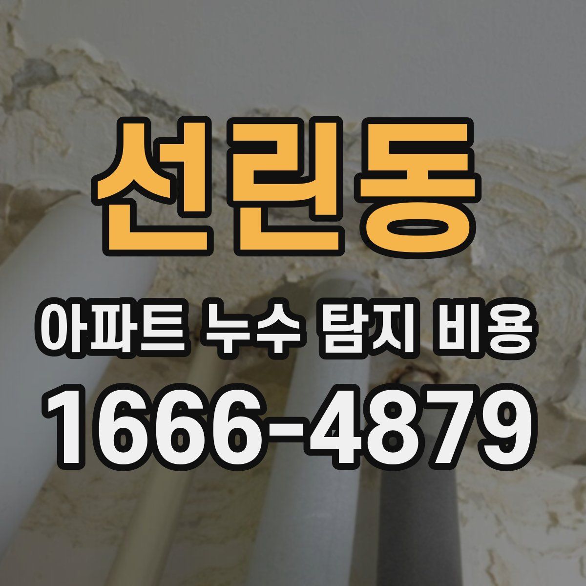 선린동 아파트 누수 탐지 비용