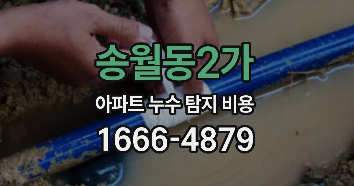 송월동2가 아파트 누수 탐지 비용