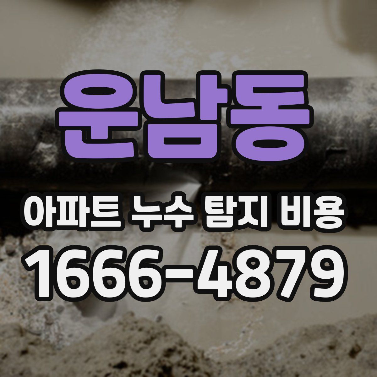운남동 아파트 누수 탐지 비용