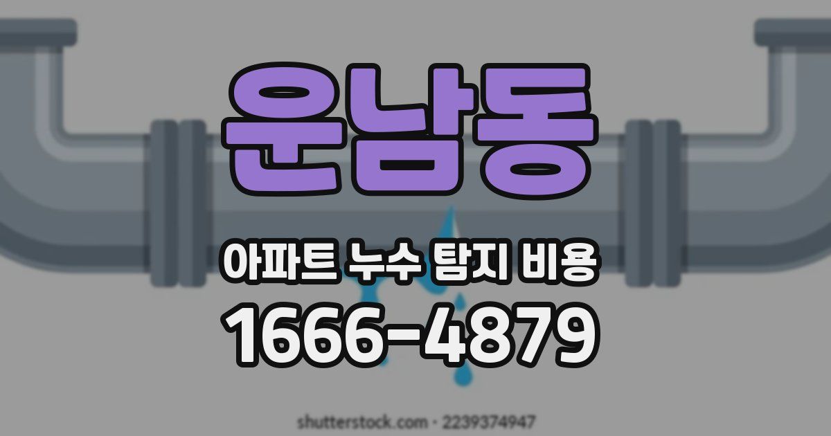 운남동 아파트 누수 탐지 비용