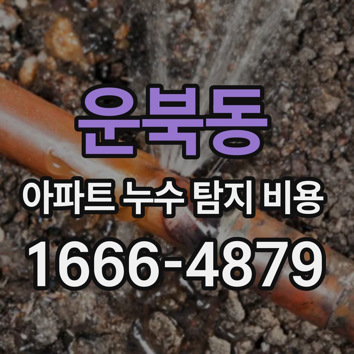 운북동 아파트 누수 탐지 비용