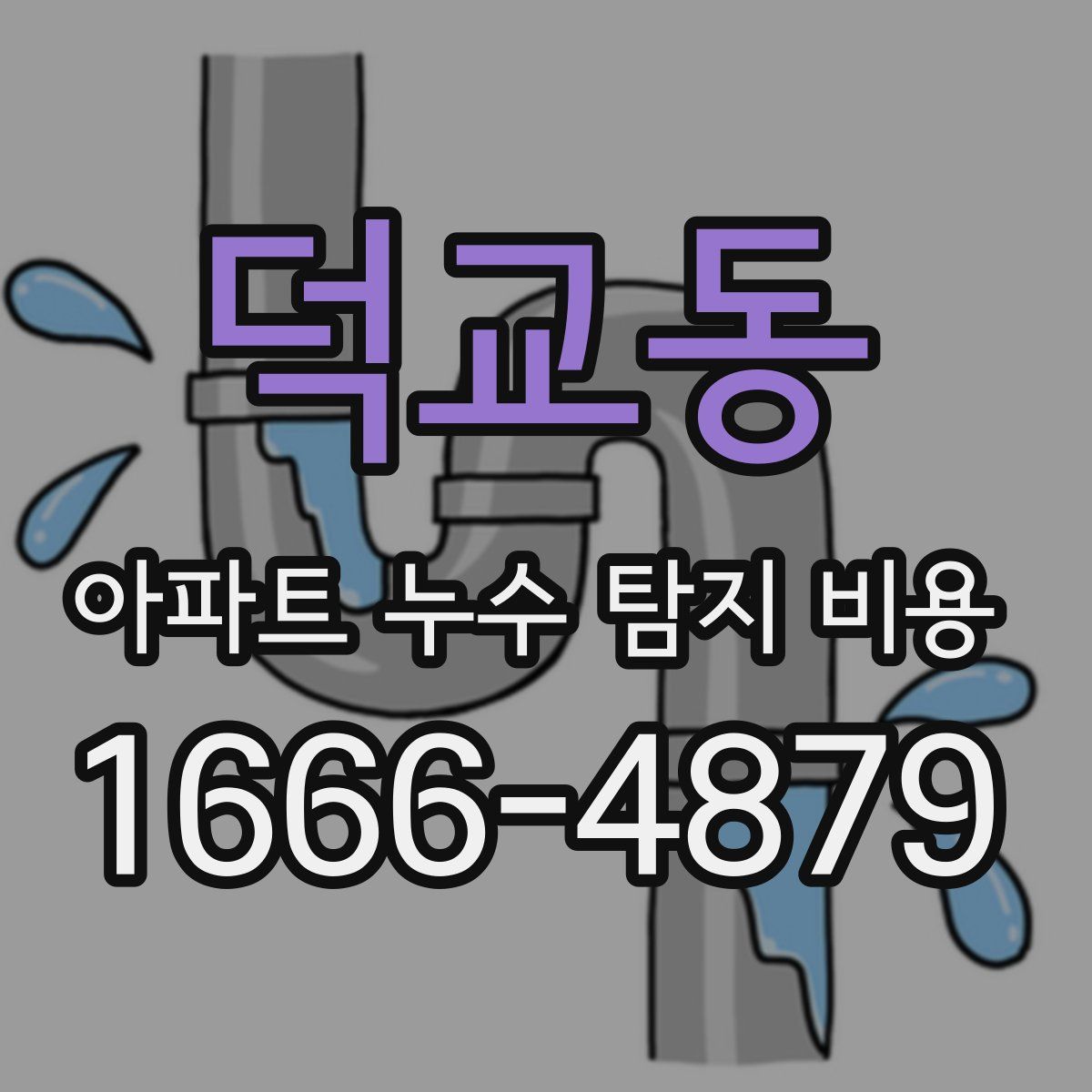 덕교동 아파트 누수 탐지 비용