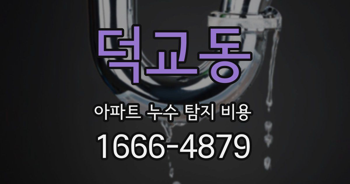 덕교동 아파트 누수 탐지 비용