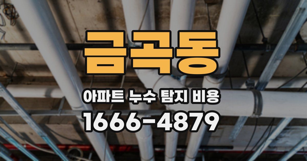금곡동 아파트 누수 탐지 비용