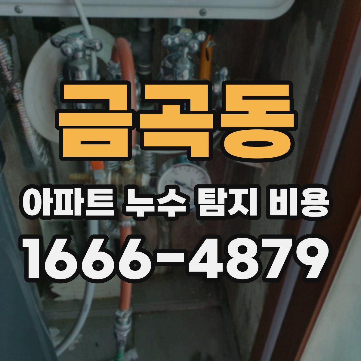 금곡동 아파트 누수 탐지 비용