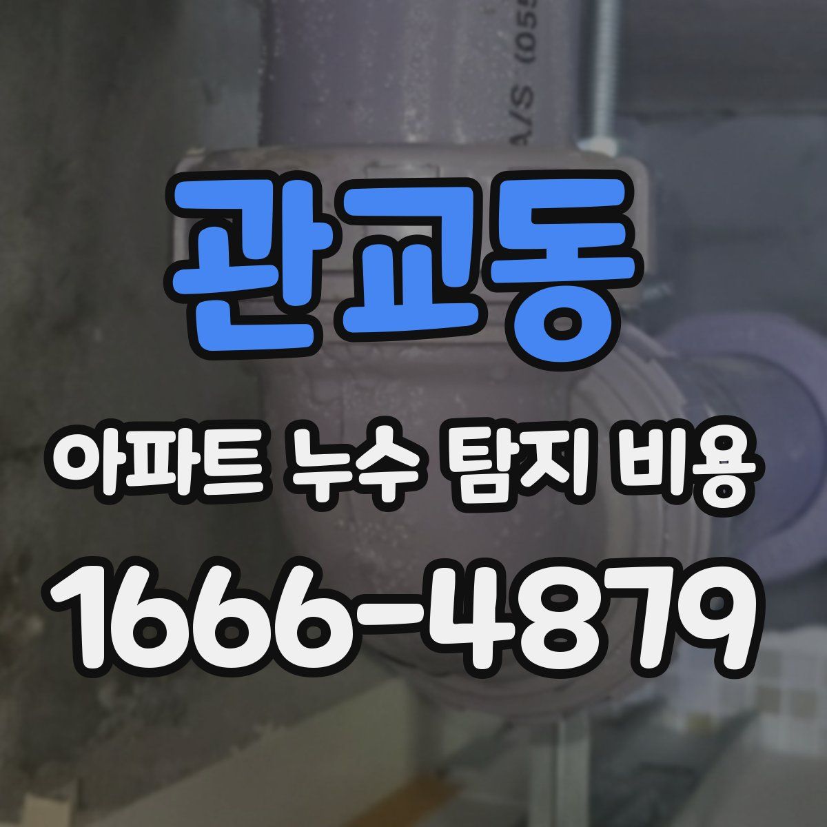 관교동 아파트 누수 탐지 비용