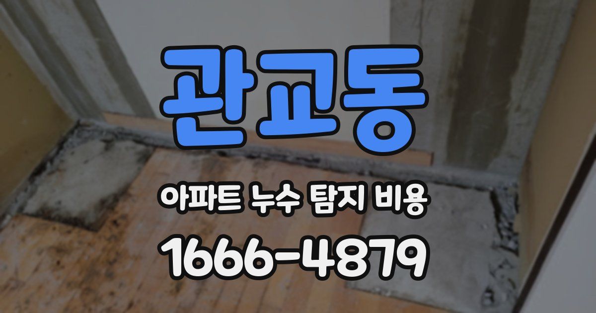 관교동 아파트 누수 탐지 비용