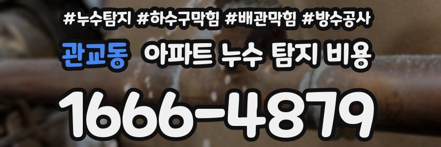 관교동 아파트 누수 탐지 비용