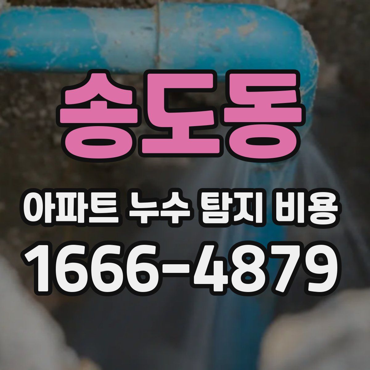송도동 아파트 누수 탐지 비용