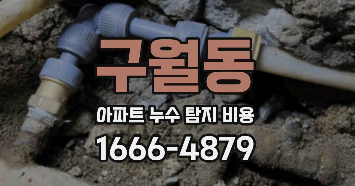 구월동 아파트 누수 탐지 비용