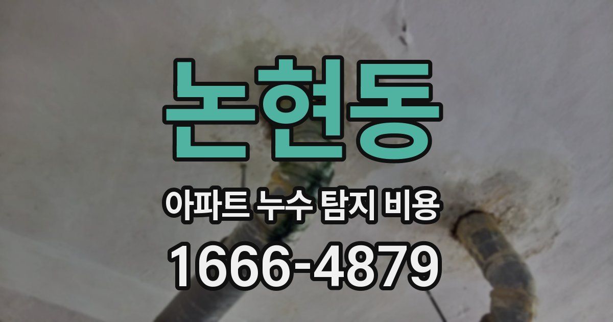 논현동 아파트 누수 탐지 비용