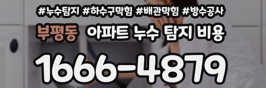부평동 아파트 누수 탐지 비용
