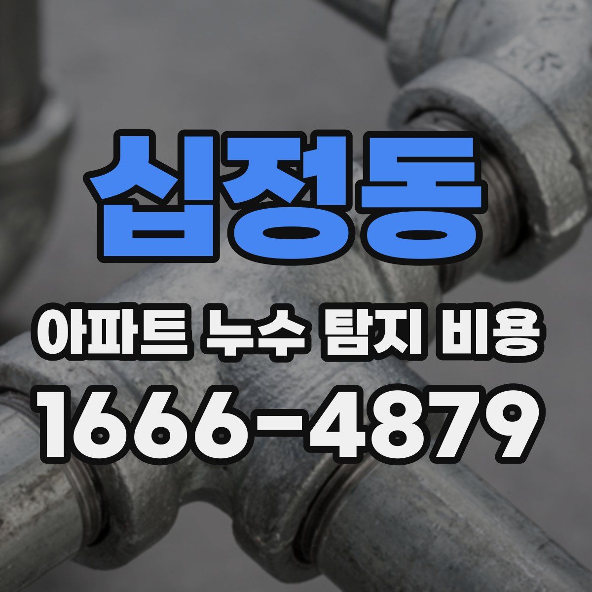 십정동 아파트 누수 탐지 비용
