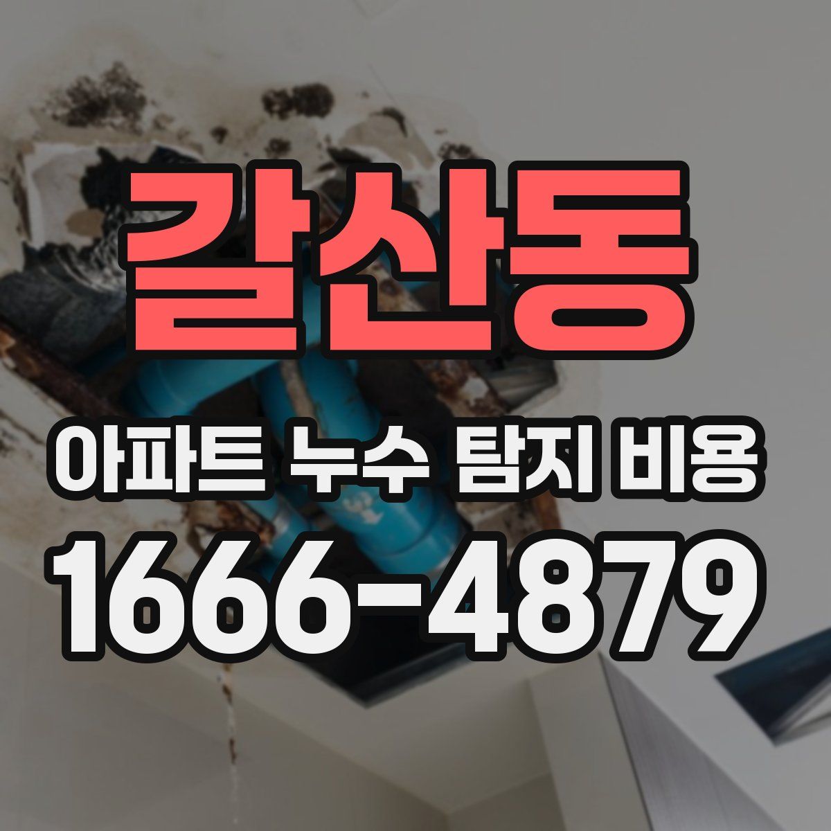 갈산동 아파트 누수 탐지 비용