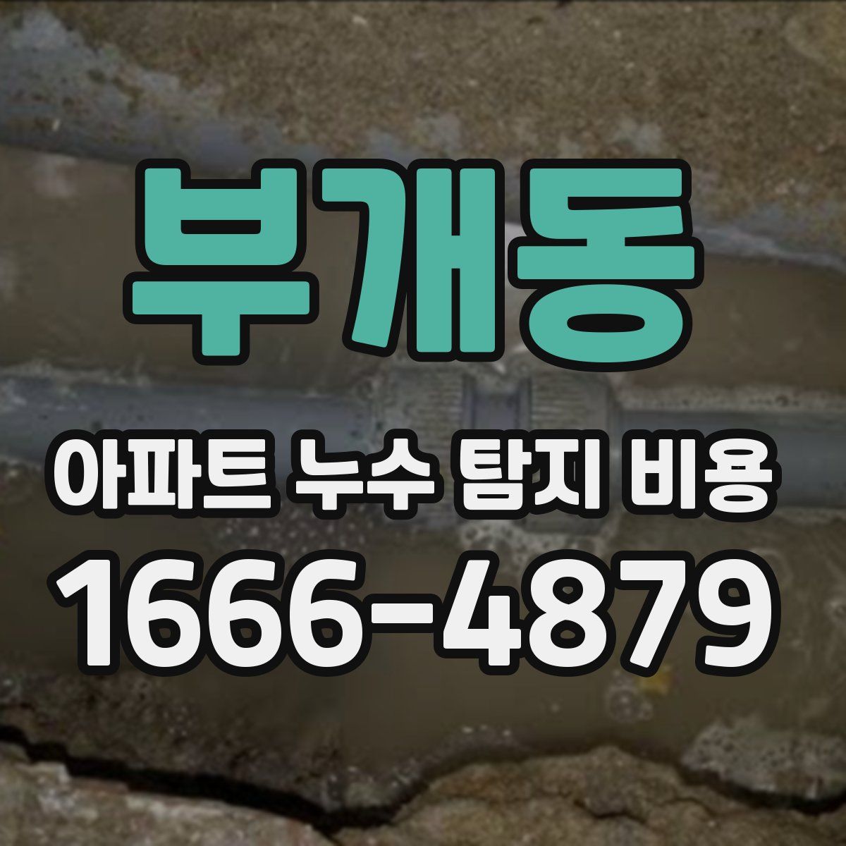 부개동 아파트 누수 탐지 비용