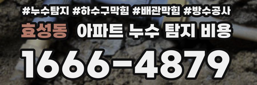 효성동 아파트 누수 탐지 비용
