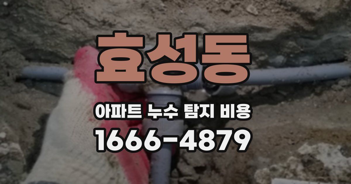 효성동 아파트 누수 탐지 비용